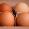 Eggs Chicken Eggs Egg Box  - manfredrichter / Pixabay