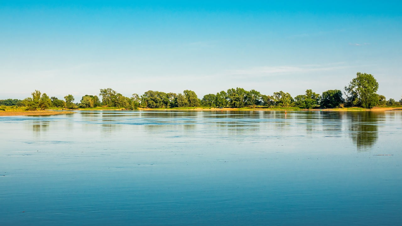 Elbe Beach Landscape Blue Water  - MandrillArt / Pixabay