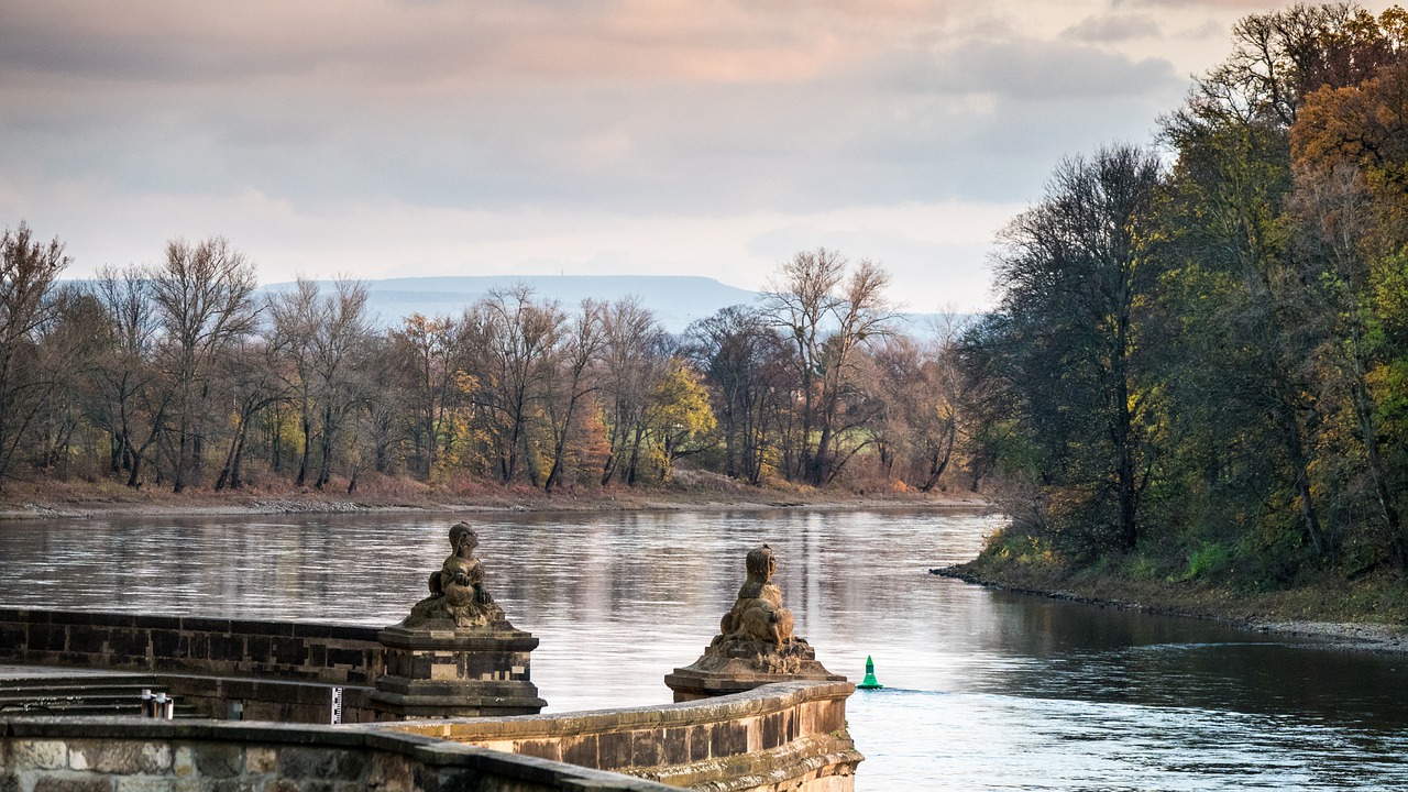 Elbe River River Trees Bank Woods  - MandrillArt / Pixabay