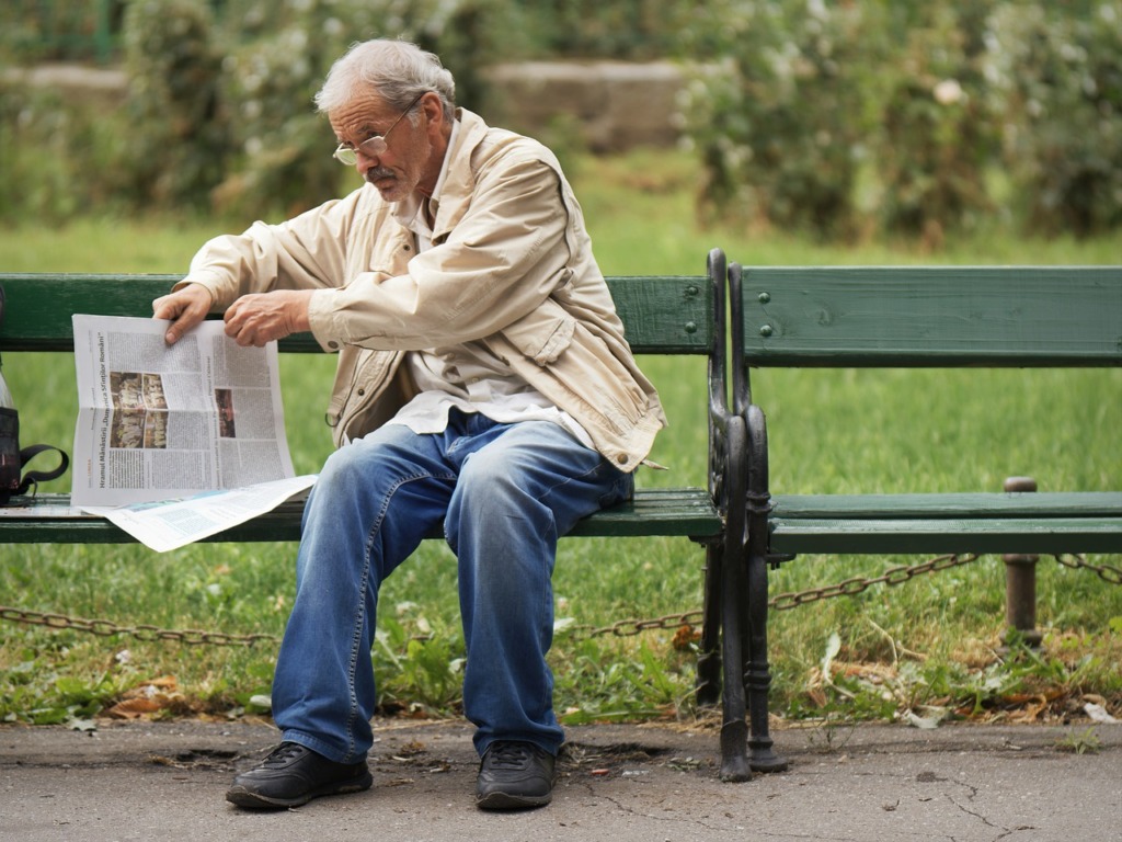 Elderly Man Reading Park Park Bench  - Surprising_Shots / Pixabay
