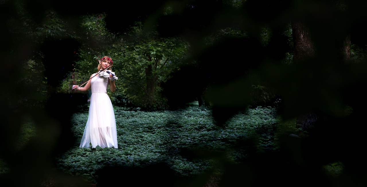 Elf Violin Forest Music Violinist  - Victoria_Borodinova / Pixabay