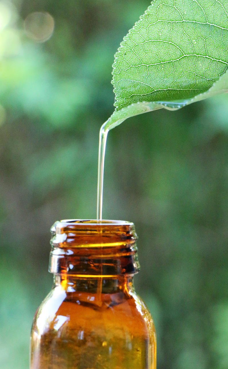 Essential Oil Extract Plants Nature - GloboxR / Pixabay
