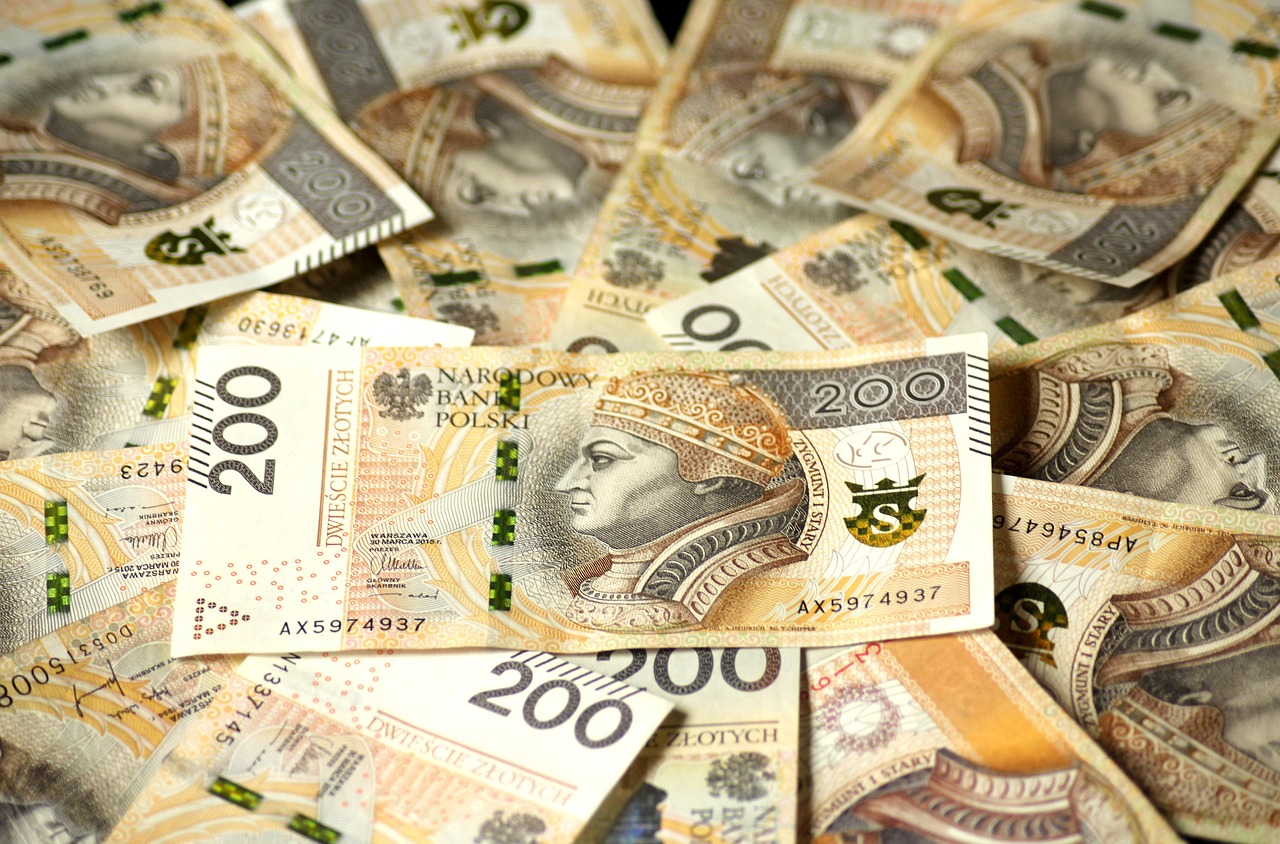 Euro Banknotes The Currency In Poland  - _Alicja_ / Pixabay
