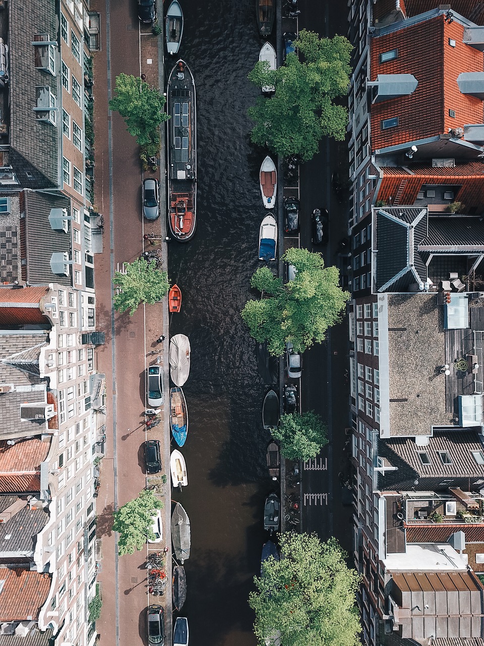 Europe Amsterdam Travel Tourism  - komissaralex / Pixabay