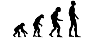 Evolution Human Evolution  - ConexaoCabeca / Pixabay