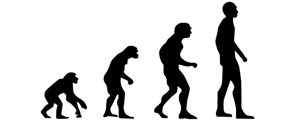 Evolution Human Evolution  - ConexaoCabeca / Pixabay