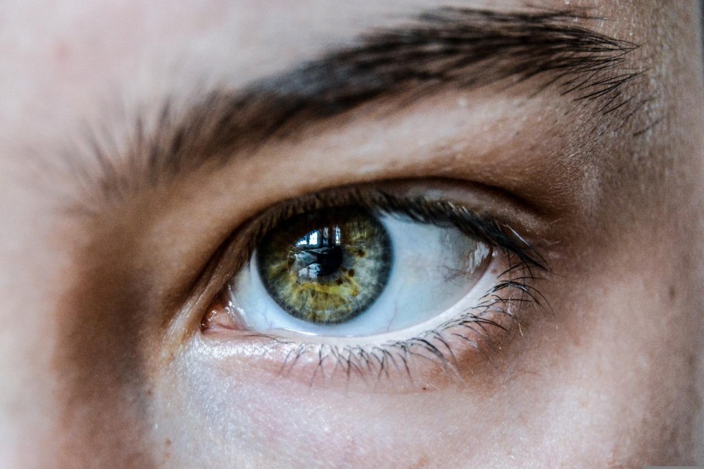 Eye Green Eyelashes Eyebrow Eyelid  - tembel_tasarimci / Pixabay