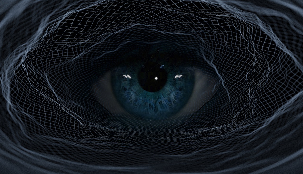 Eye Web Background Blue Eye - Placidplace / Pixabay