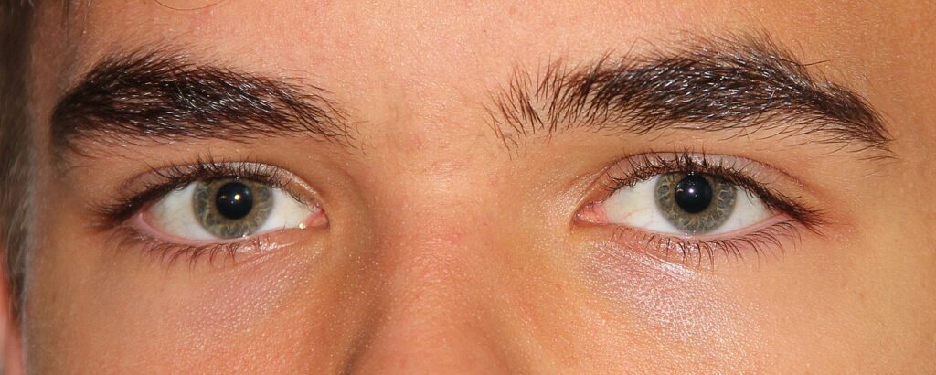 Eyes Eyebrows Eyelashes Pupil Iris  - Alexandra_Koch / Pixabay