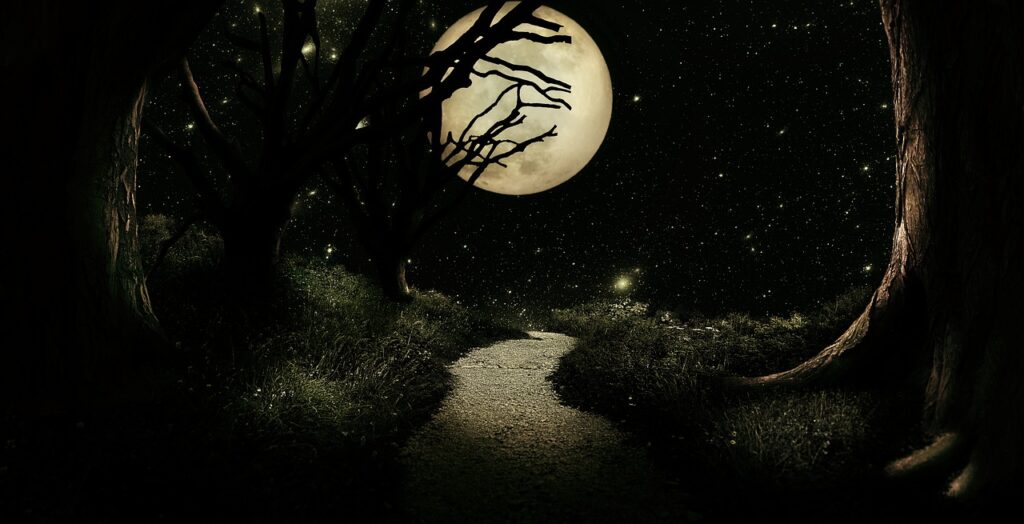 Fantasy Moon Trees Stars Night  - Darkmoon_Art / Pixabay