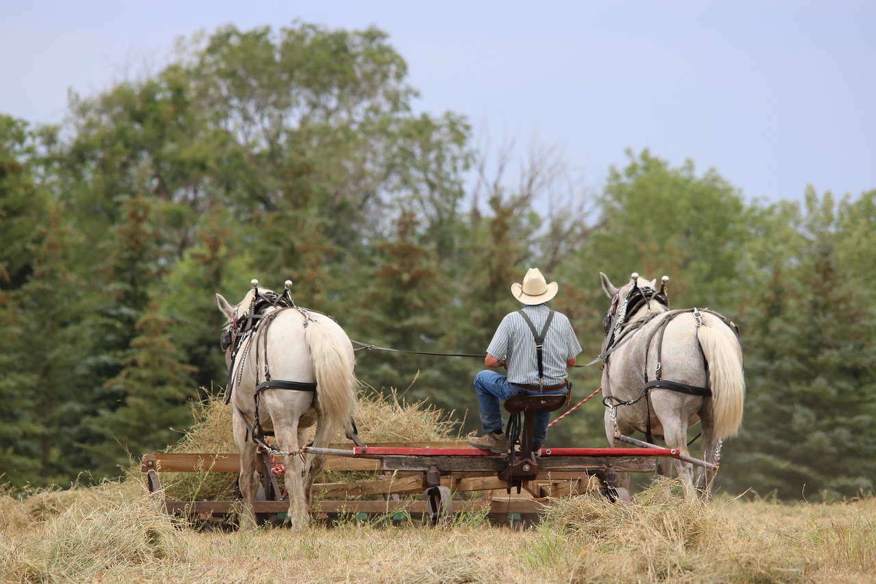 Farm Agriculture Nature Grass - jmrockeman / Pixabay