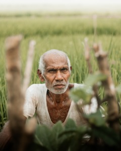 Farmer Old Man Agriculture Portrait  - SSHNK / Pixabay