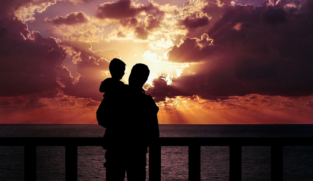 Father And Son Happiness Love  - mohamed_hassan / Pixabay
