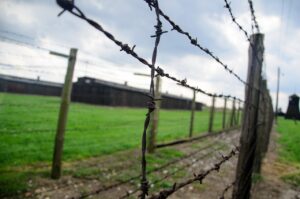 fence holocaust barbwire 444416