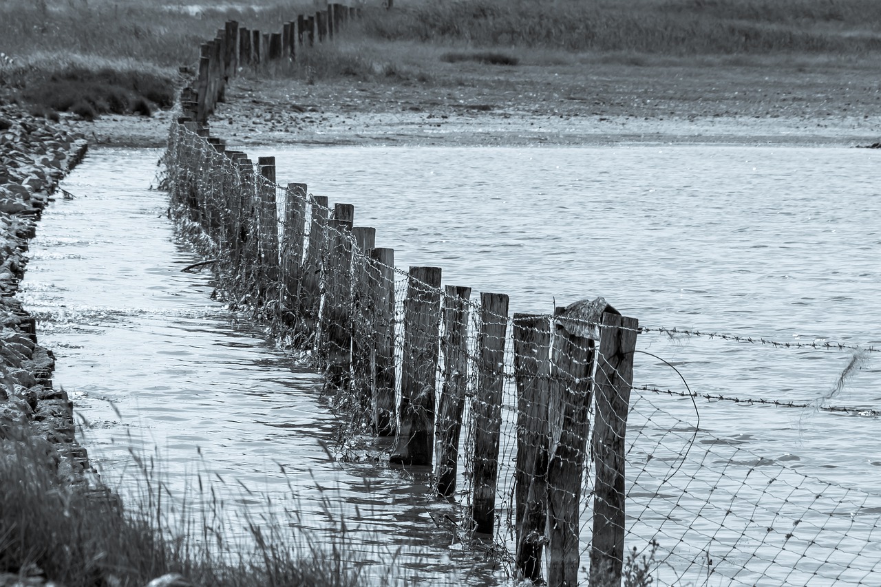 Fence Water Connected Wire  - analogicus / Pixabay