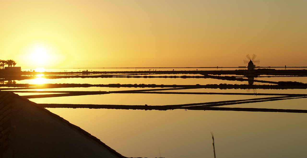 Field Flood Sunset Silhouette Sun  - astridgioia / Pixabay