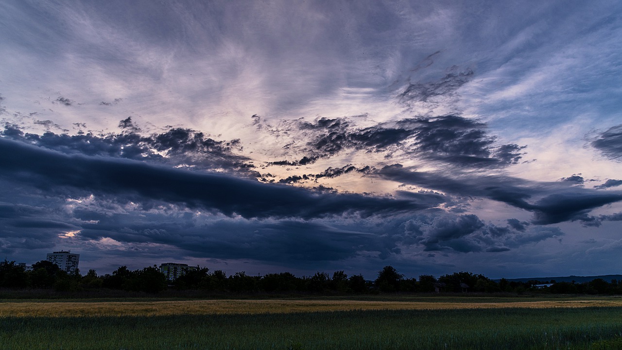 Field Nature Green Meadow The Sky  - phtorxp / Pixabay