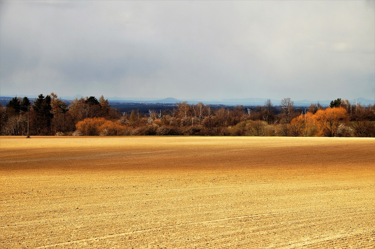 Field View Stubble Panorama  - ivabalk / Pixabay