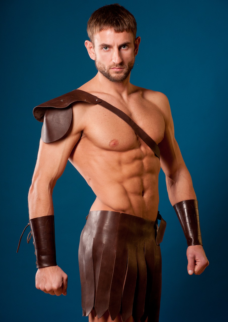 Fighter Soldier Gladiator Armor  - vishstudio / Pixabay