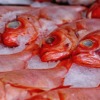 Fish Market Raw Marine Seafood  - dpexcel / Pixabay