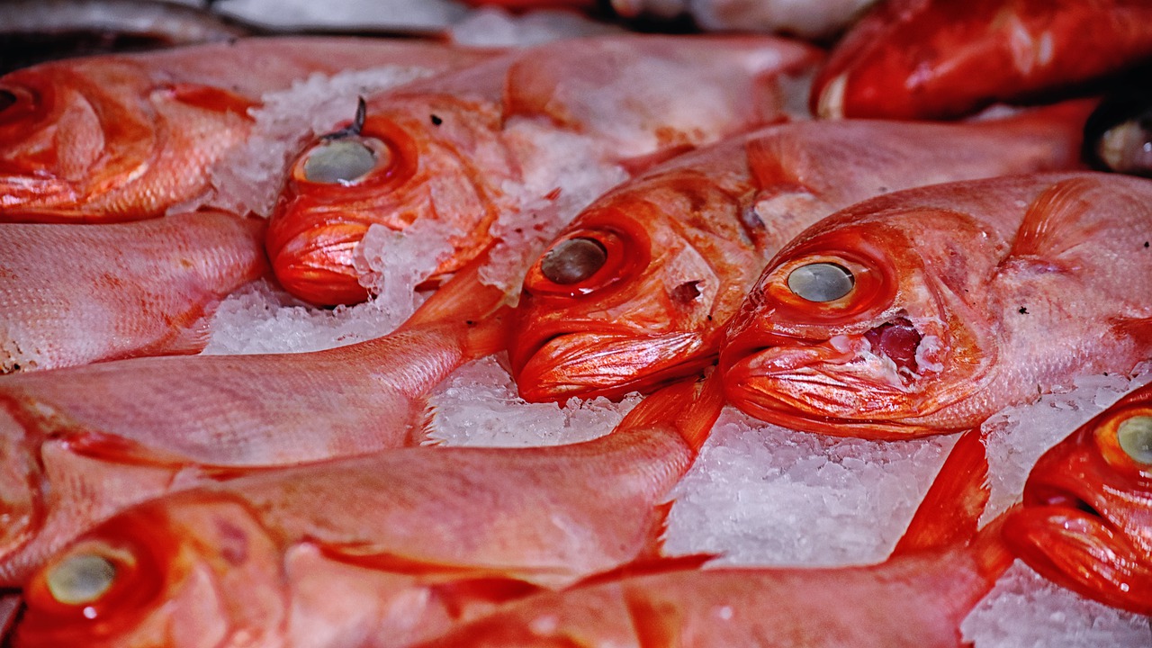 Fish Market Raw Marine Seafood  - dpexcel / Pixabay