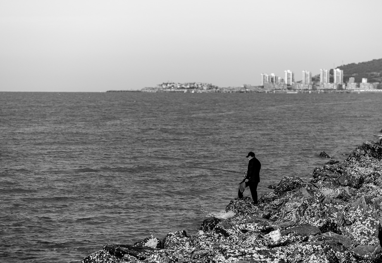 Fishing City Ocean Black Nature  - GA_Melon / Pixabay