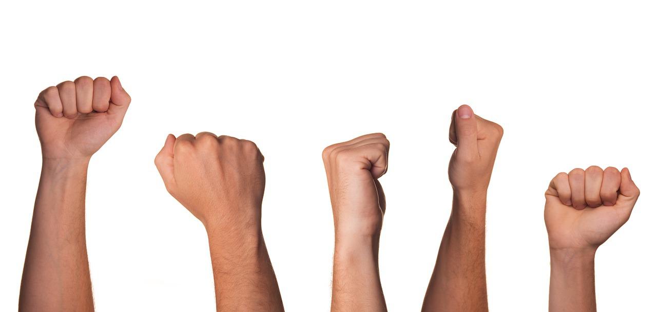 fist revolt insurgent rebel arm 424500