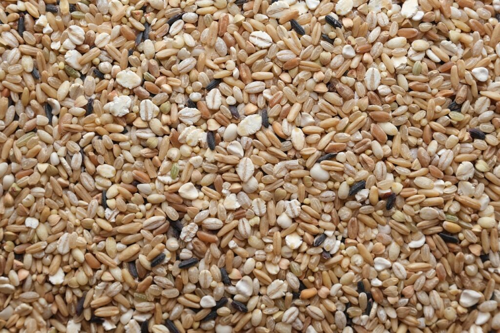 Five Grain Rice Food Healthy  - SooYeongBeh / Pixabay