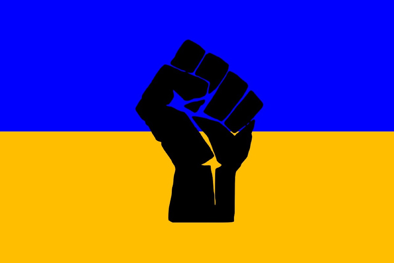 Flag Ukraine Hand Protest  - sergeitokmakov / Pixabay