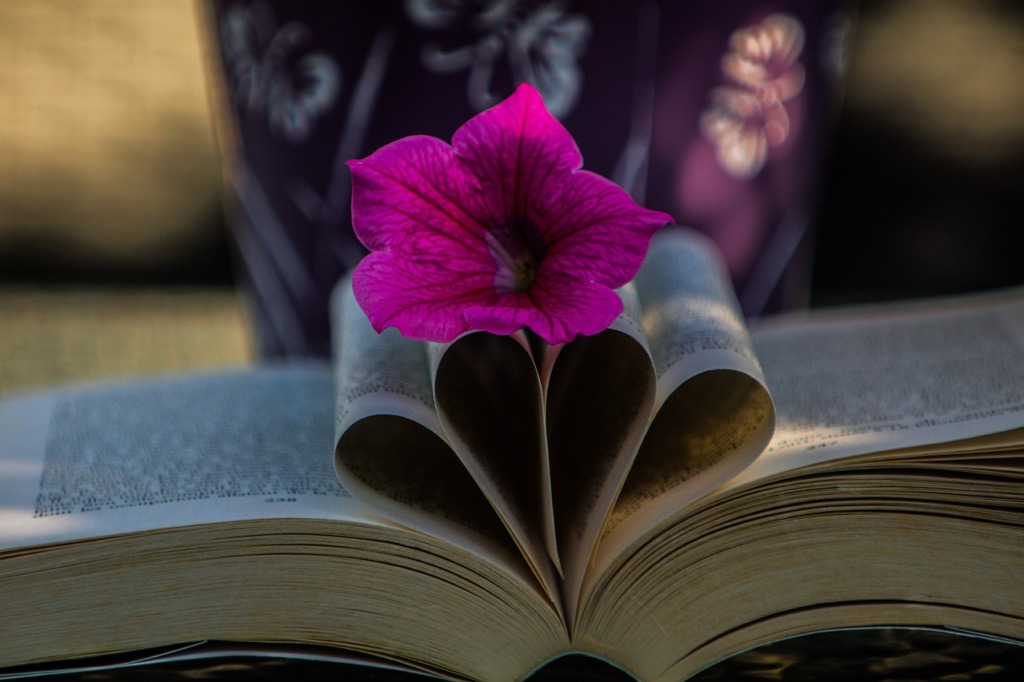 Flower Botany Book Bloom Blossom  - michel89320 / Pixabay
