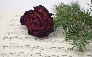 Flower Rose Dry Flower Faded  - neelam279 / Pixabay