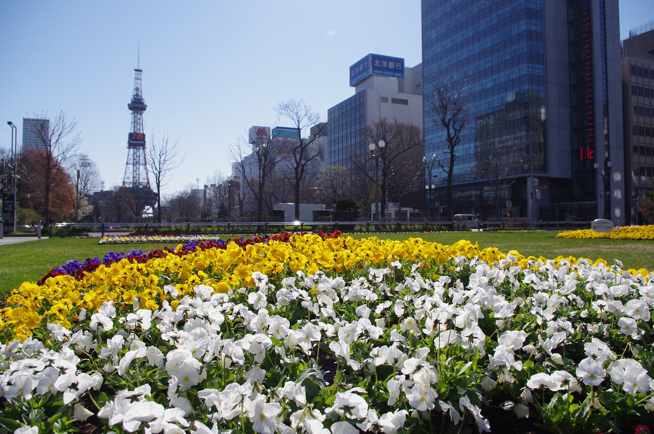 Flowerbed Park Garden Pansies - May_hokkaido / Pixabay