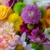 Flowers Color Spring Nature  - amyirizarry02 / Pixabay