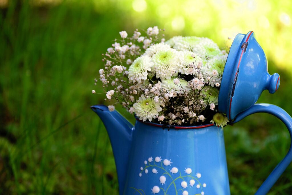 Flowers Plants Pot Vase  - congerdesign / Pixabay