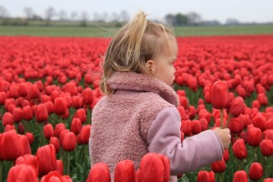 Flowers Tulips Child Girl Nature  - Marjonhorn / Pixabay