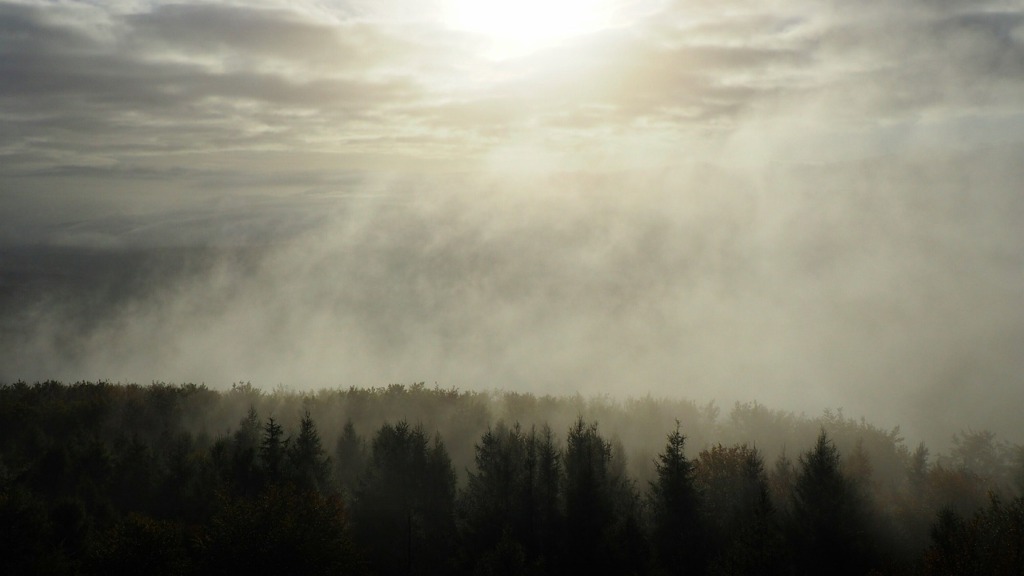 Fog Forest Nature Landscape Clouds  - Xpics / Pixabay