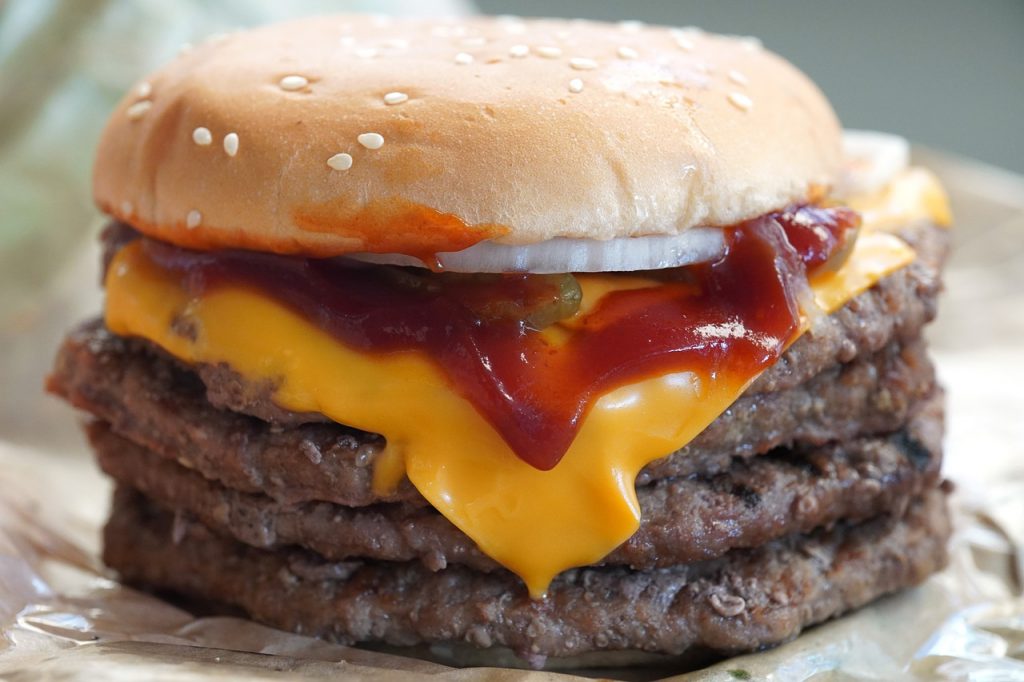 Food Restaurant Burger Burger King  - takedahrs / Pixabay
