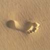 Footprint Sand Beach Barefoot Foot  - MemoryCatcher / Pixabay