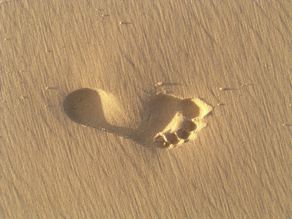 Footprint Sand Beach Barefoot Foot  - MemoryCatcher / Pixabay