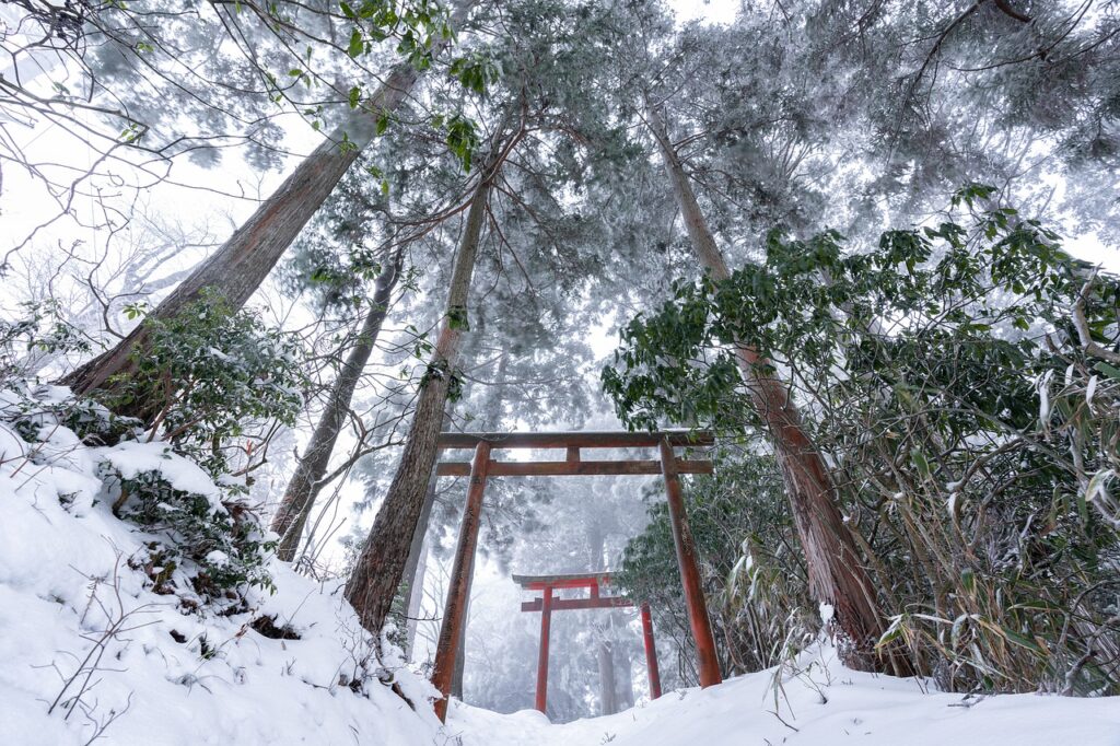 Forest Snow Torii Winter Snowstorm  - Kanenori / Pixabay