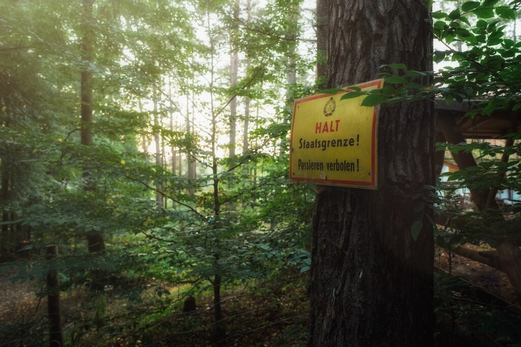 Forest Trees Border Sign Warning  - Tama66 / Pixabay