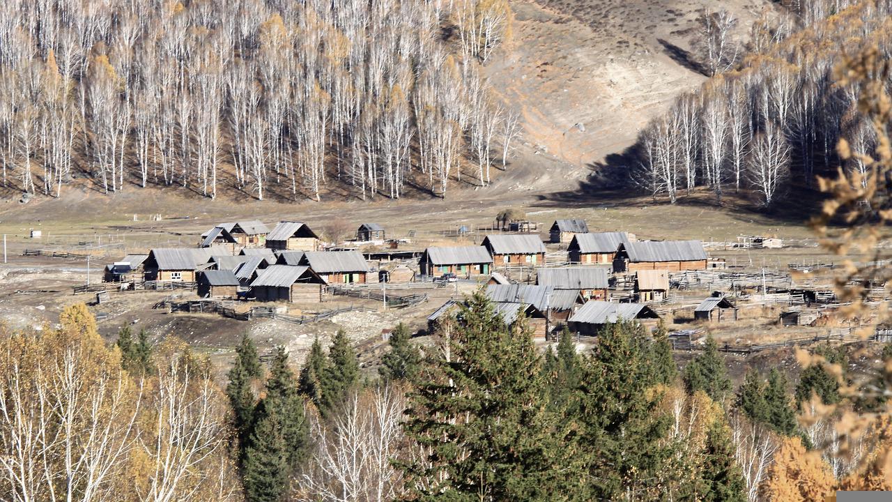 Forest Village Mongolia Autumn  - Jerry界 / Pixabay
