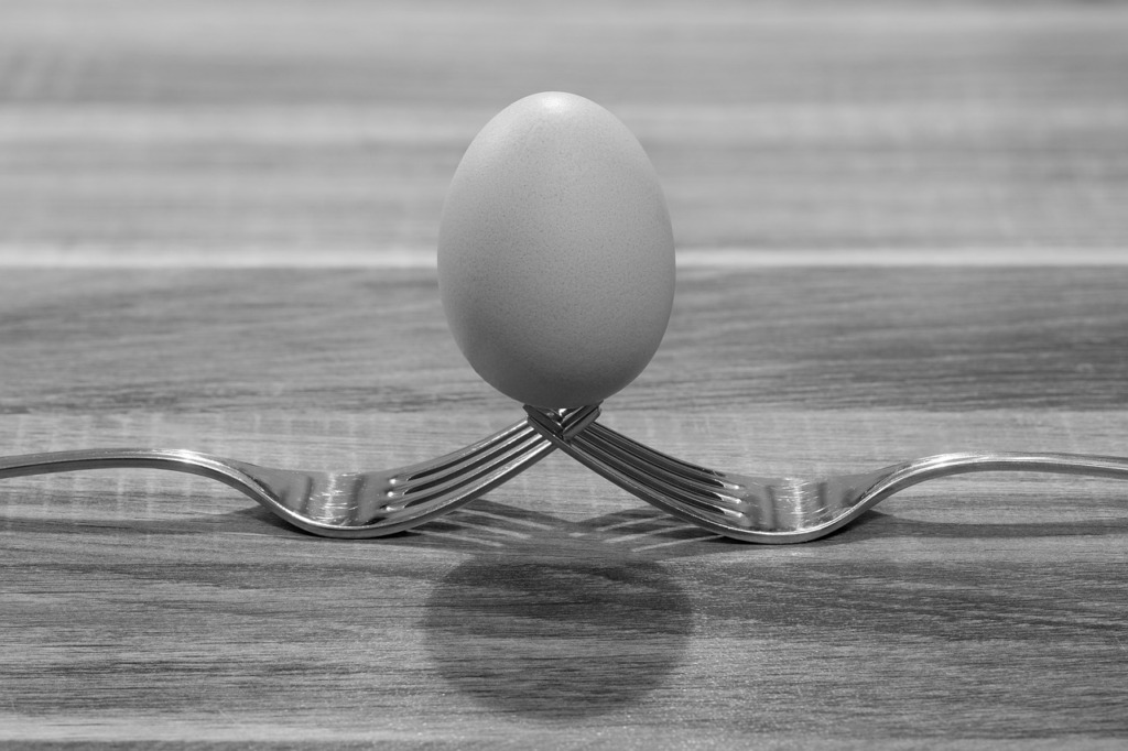 Fork Egg Macro Photo Art  - pxel_photographer / Pixabay