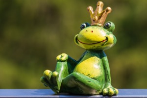 Frog Figure Frog Prince Fairy Tales  - NickyPe / Pixabay