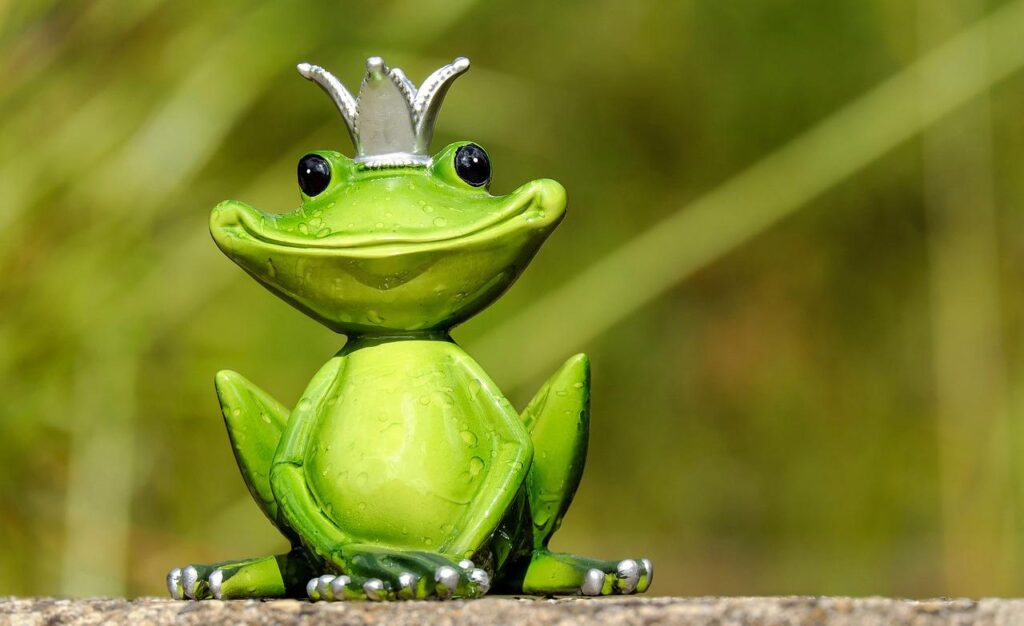 frog frog prince prince figure 2240764