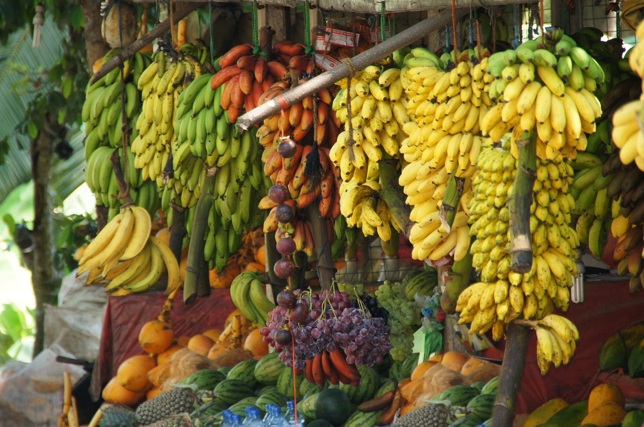 Fruit Fruits Tropical Fruits Market  - Holiday4free_com / Pixabay