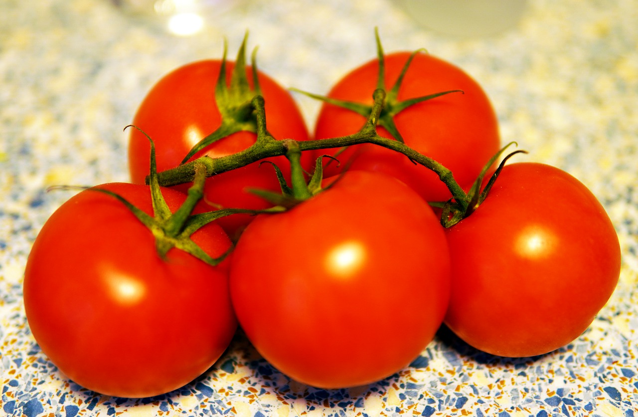 Fruit Tomatoes Organic Fresh - matthiasboeckel / Pixabay