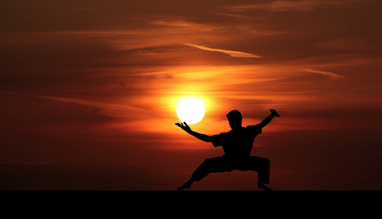 Fu Kung Kungfu Master Silhouette  - mohamed_hassan / Pixabay