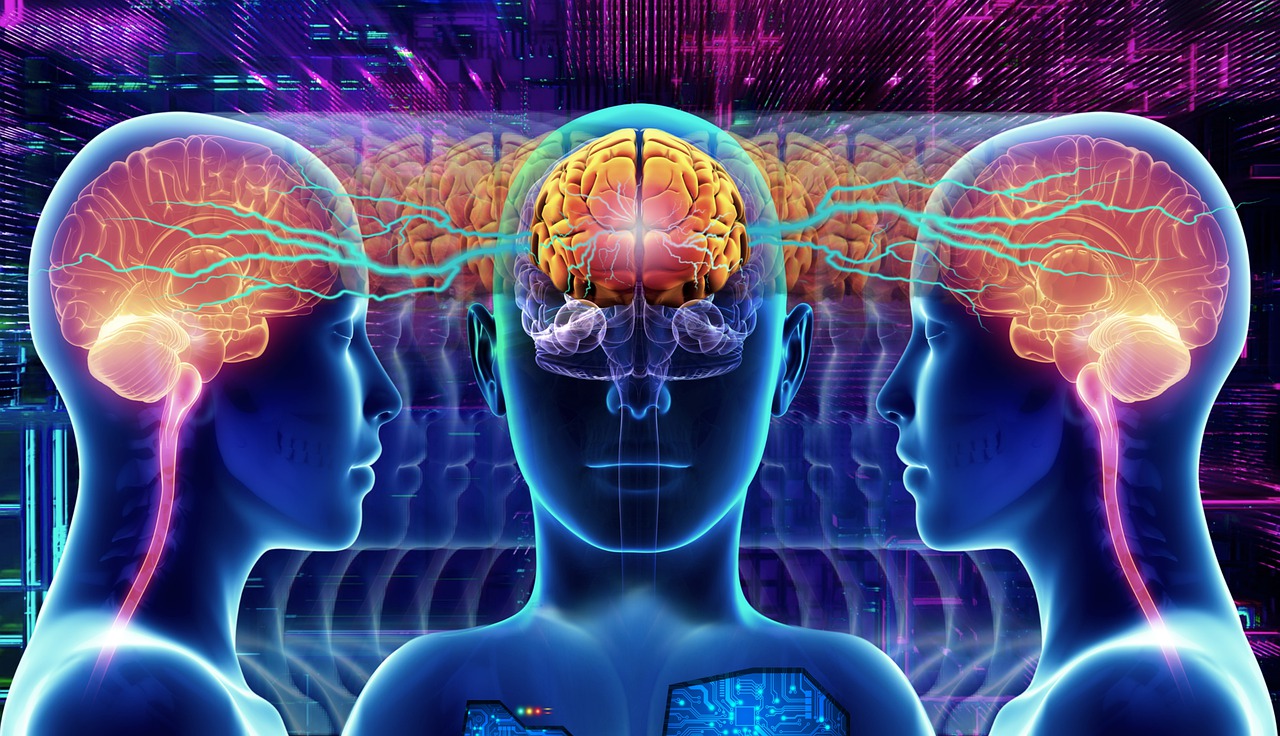 Futuristic Sci Fi Science Anatomy  - ParallelVision / Pixabay