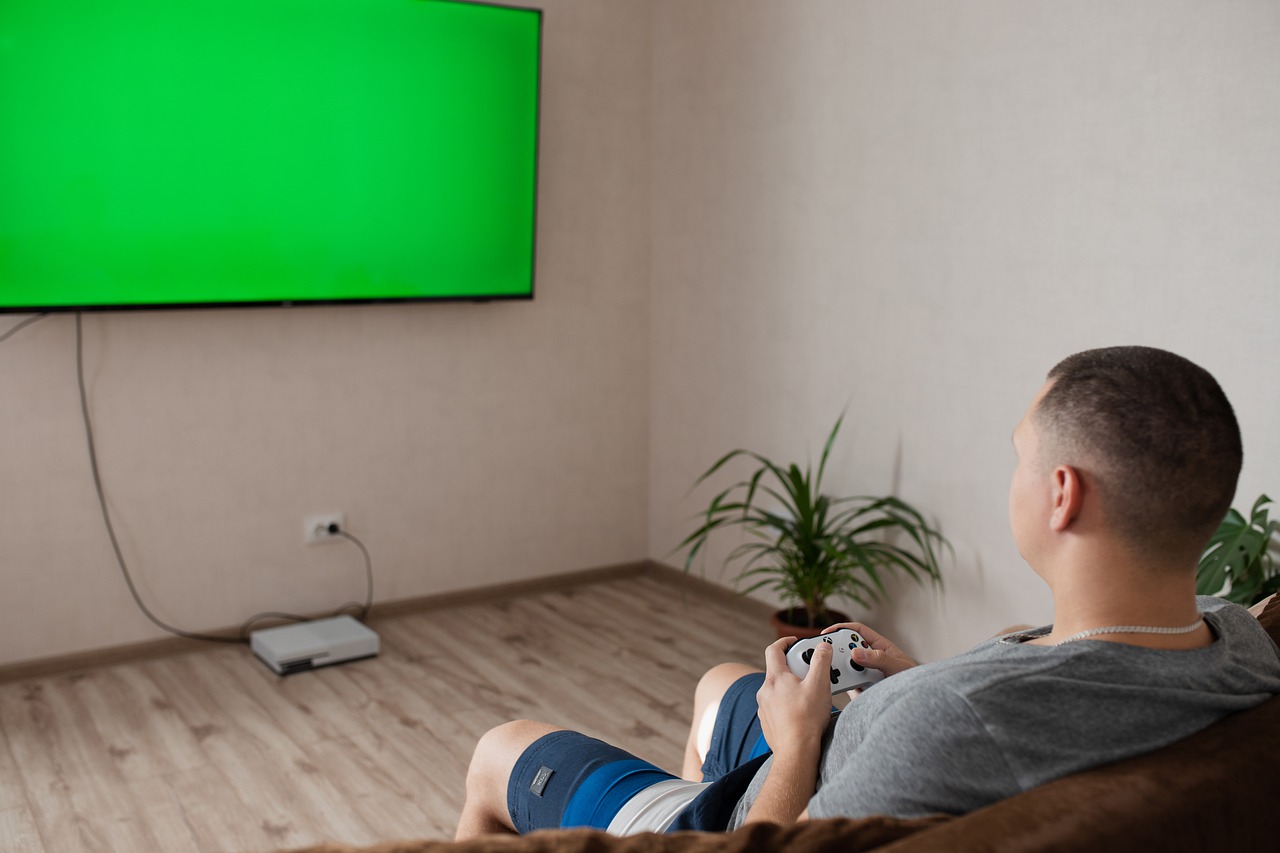 Gamer Internet Joystick Player  - Katya_Ershova / Pixabay